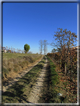 foto Alle pendici del Monte Grappa in Autunno